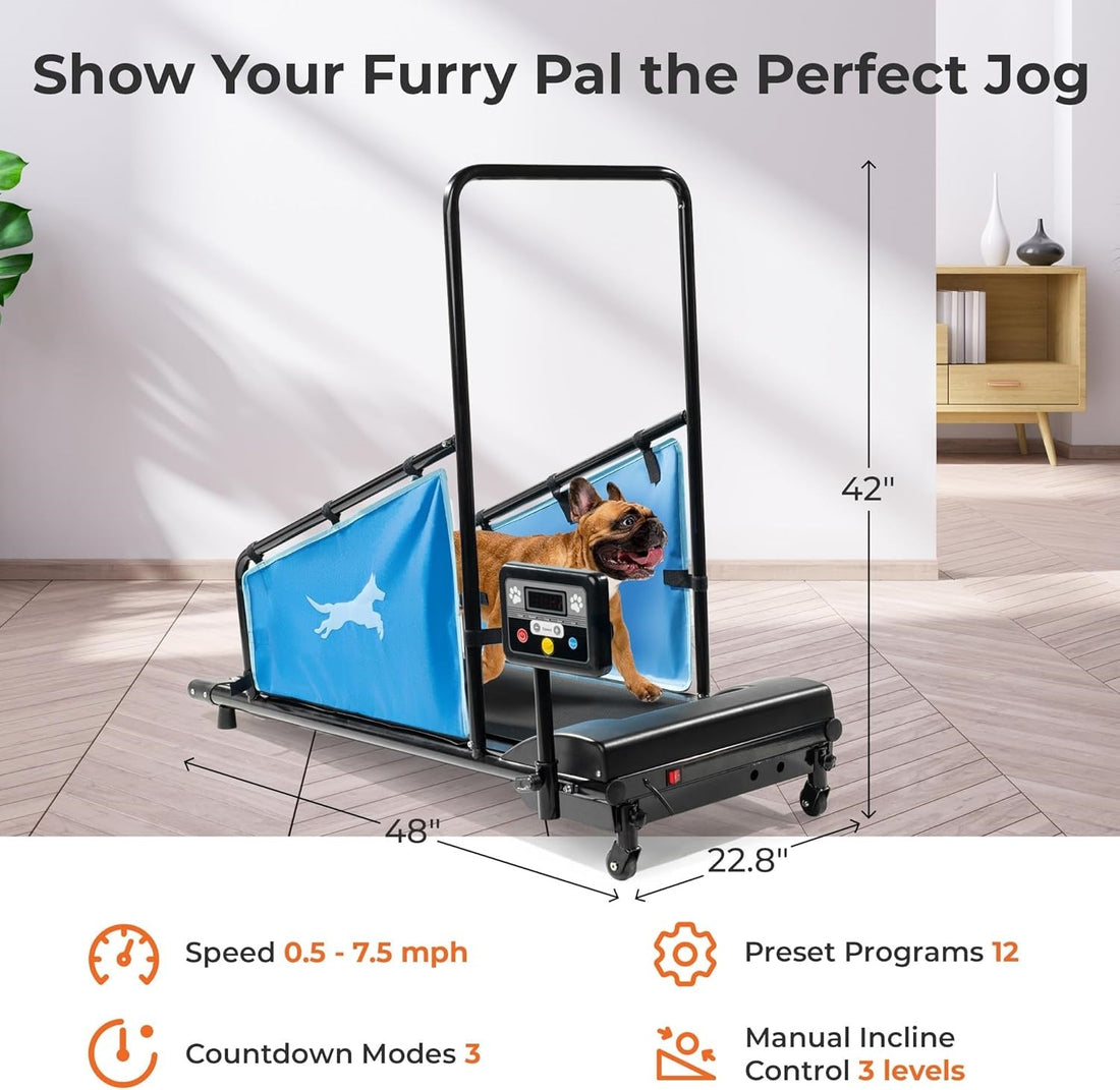 How to Keep Your Dog Active Indoors: The Ultimate Guide to Dog Treadmills